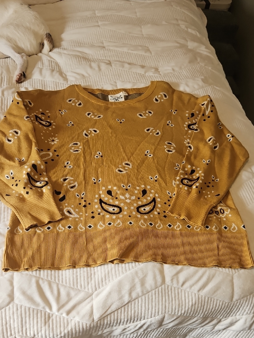 Cotton & Rye Paisley Mustard Yellow Sweater